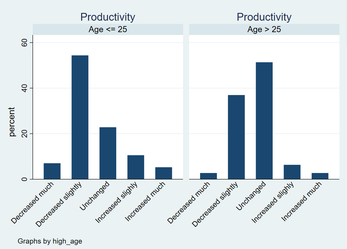 Bar chart productivity age.png