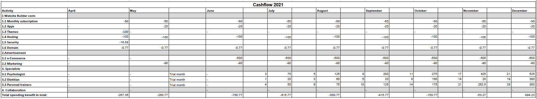 Cashflow overview.PNG